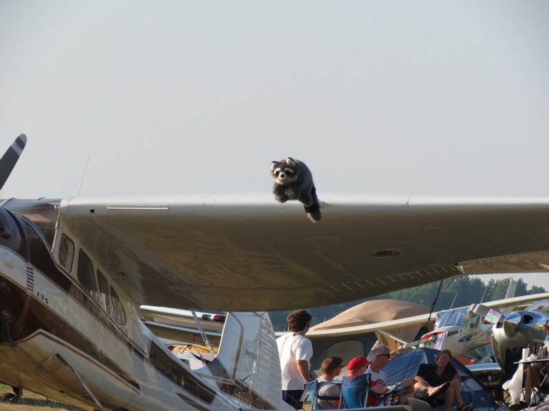 EAAOshKosh2012/oshkosh20.jpg