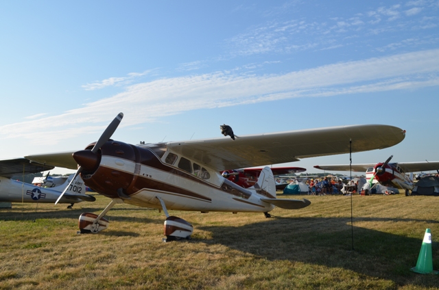 Markoshkosh2012/DSC_0208.JPG